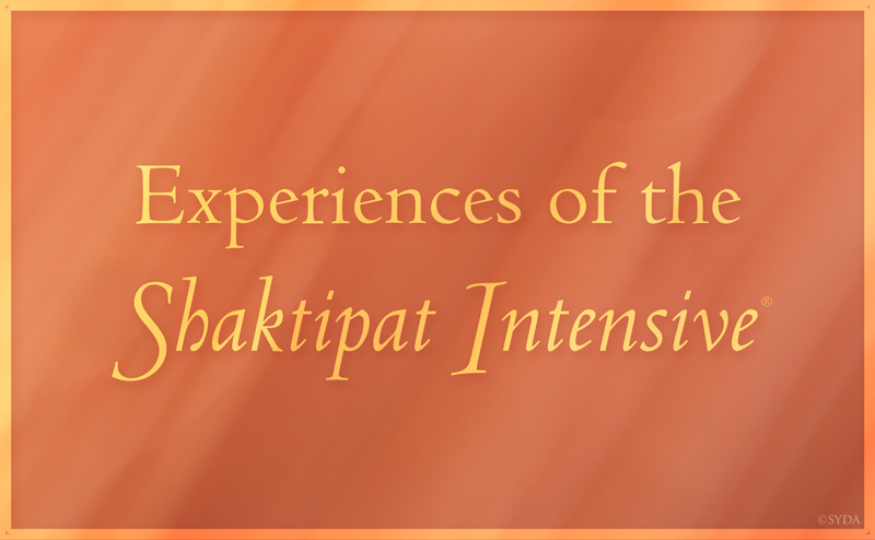 Experiences of the Shaktipat Intensive
