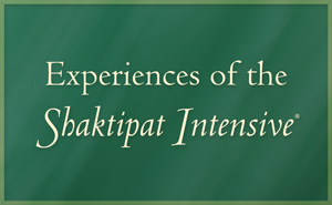 Experiences of the Shaktipat Intensive