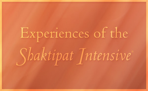 Experiences of the Shaktipat Intensive