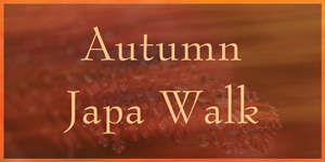 Autumn Japa Walk