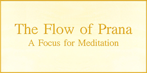 Flow of Prana
