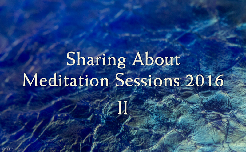 Sharing About Meditation Sessions 2 Cover