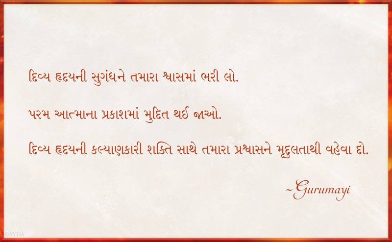 Gurumayi's Message for 2017 - Gujarati