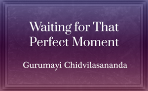 Waiting for that Perfect Moment