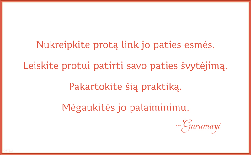 Gurumayi's Message for 2019 - Lithuanian