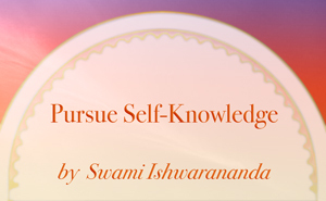 Pursue Self-Knowledge