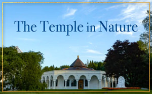 Temple in Nature