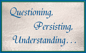 Questioning, Persisting, Understanding...