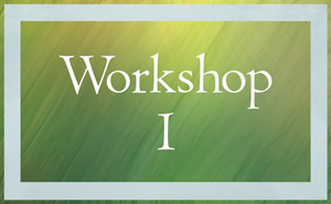 Participate in Workshop 1