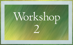 Participate in Workshop 2