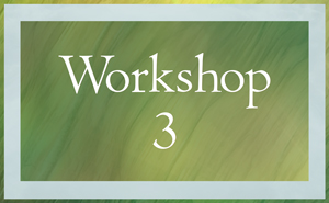 Participate in Workshop 3