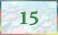 teaching 15