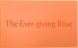 Ever-giving Rose
