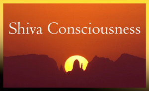 Gallery of Form of Shiva Consciousness