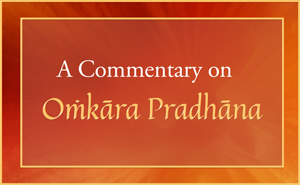 Commentary by Swami Shantananda
