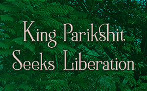 King Parikshit Seeks Liberation - Based on a story from the Shrimad Bhagavatam