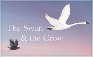 The Swan & the Crow - Based on a story from the Mahabharata