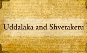 Uddalaka and Shvetaketu - A Story Told by Gurumayi Chidvilasananda