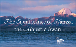 The Significance of Hamsa, the Majestic Swan